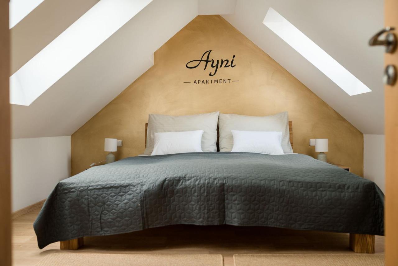 Ayni Apartman Semily Buitenkant foto