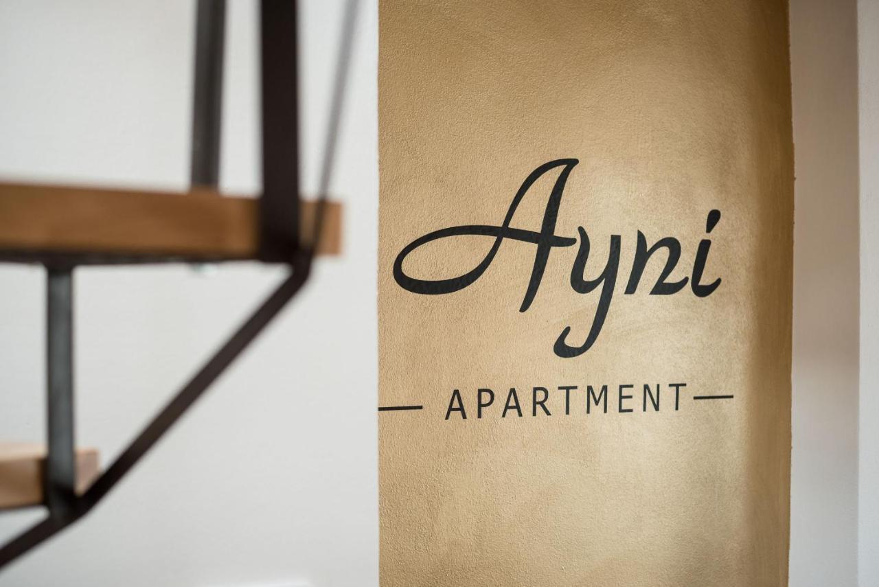 Ayni Apartman Semily Buitenkant foto