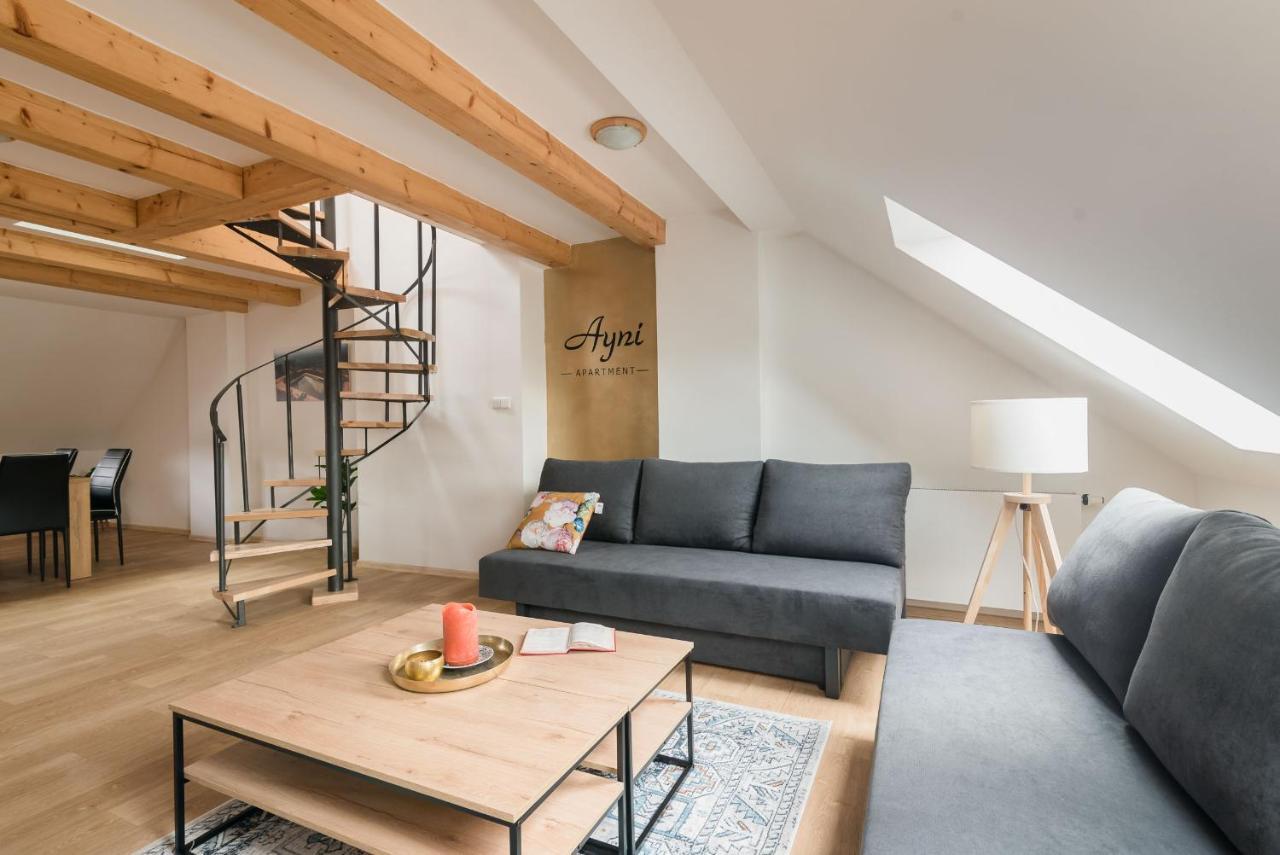 Ayni Apartman Semily Buitenkant foto
