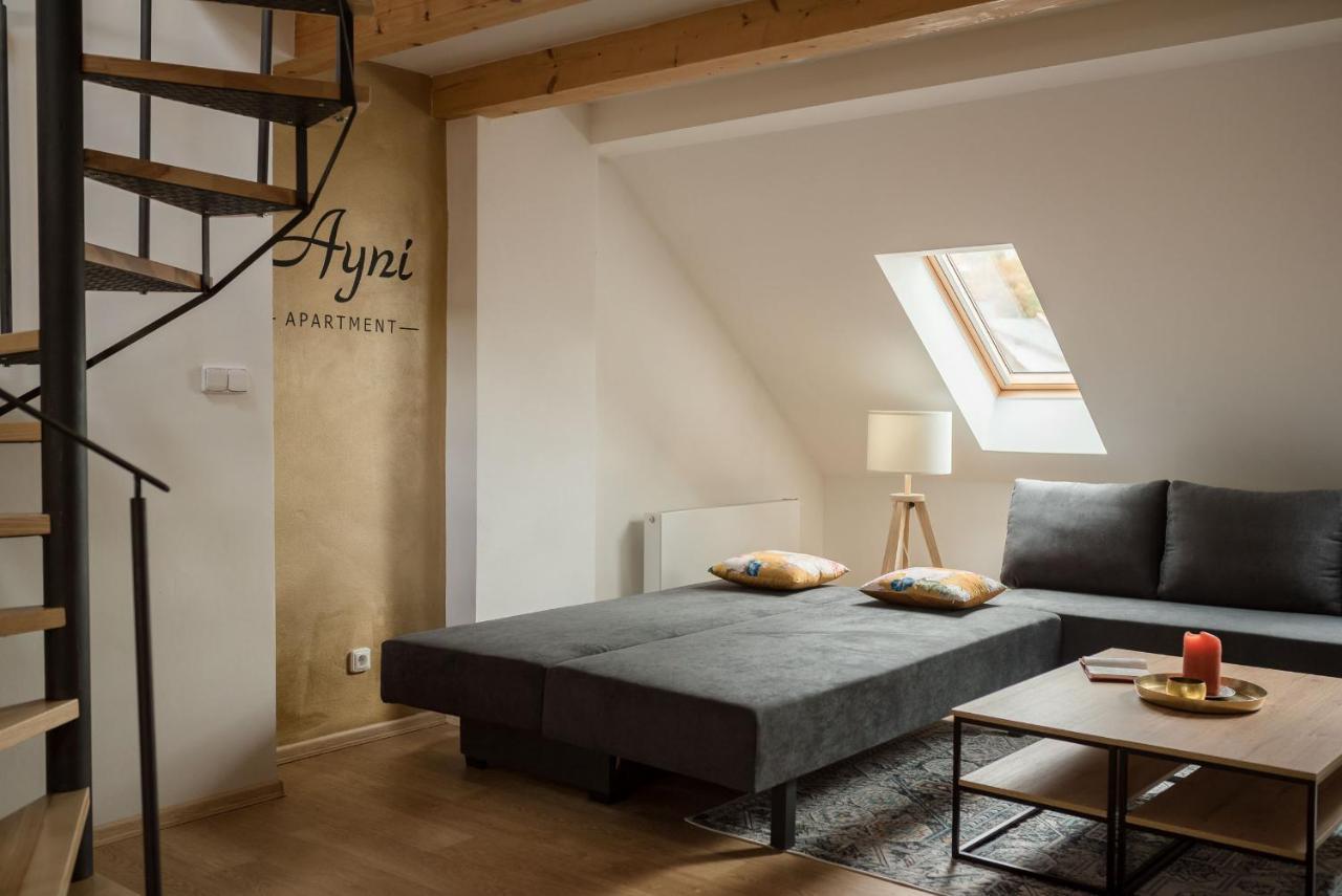 Ayni Apartman Semily Buitenkant foto